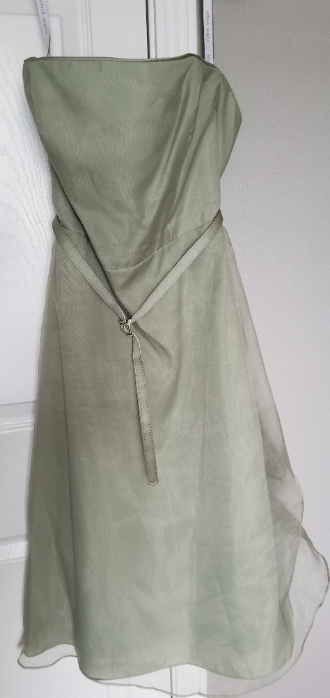 Bachelorette dress